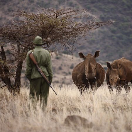 Elewana Lewa Safari Camp Hotel Timau Buitenkant foto