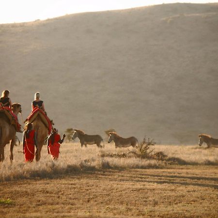 Elewana Lewa Safari Camp Hotel Timau Buitenkant foto