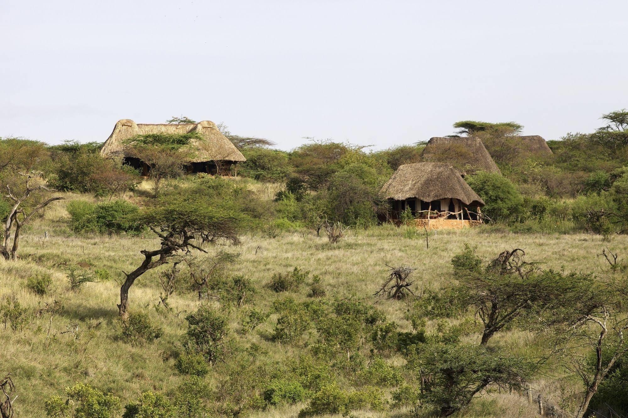 Elewana Lewa Safari Camp Hotel Timau Buitenkant foto
