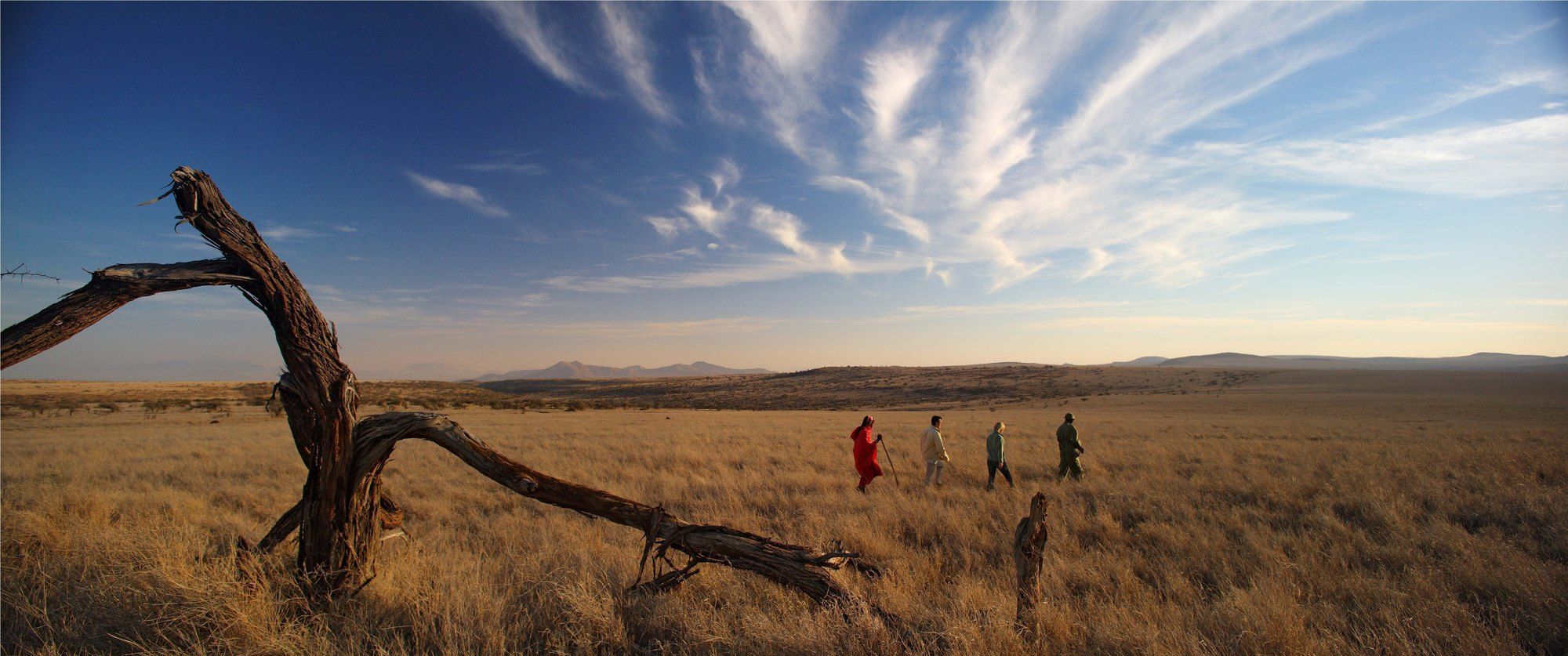 Elewana Lewa Safari Camp Hotel Timau Buitenkant foto