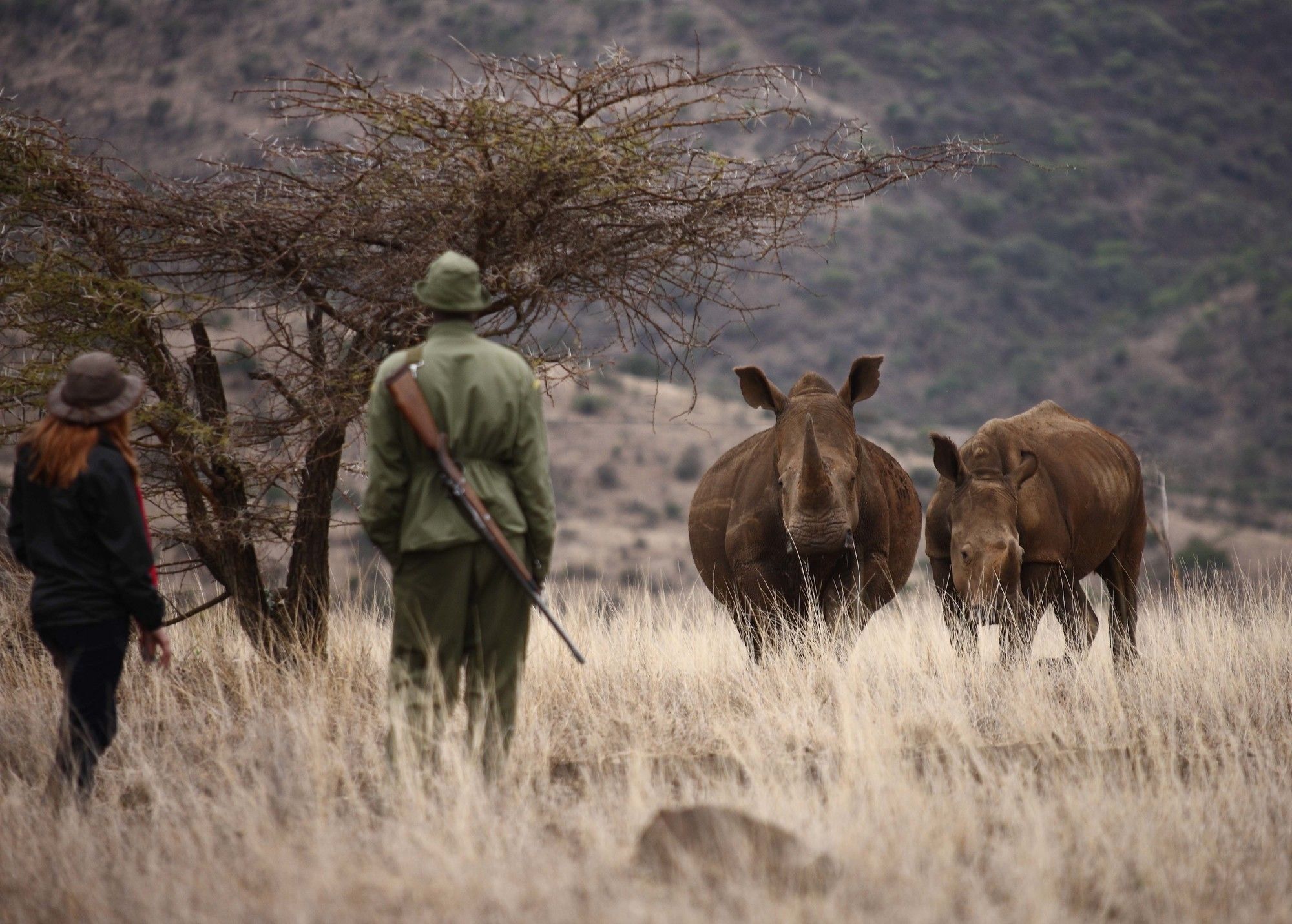 Elewana Lewa Safari Camp Hotel Timau Buitenkant foto