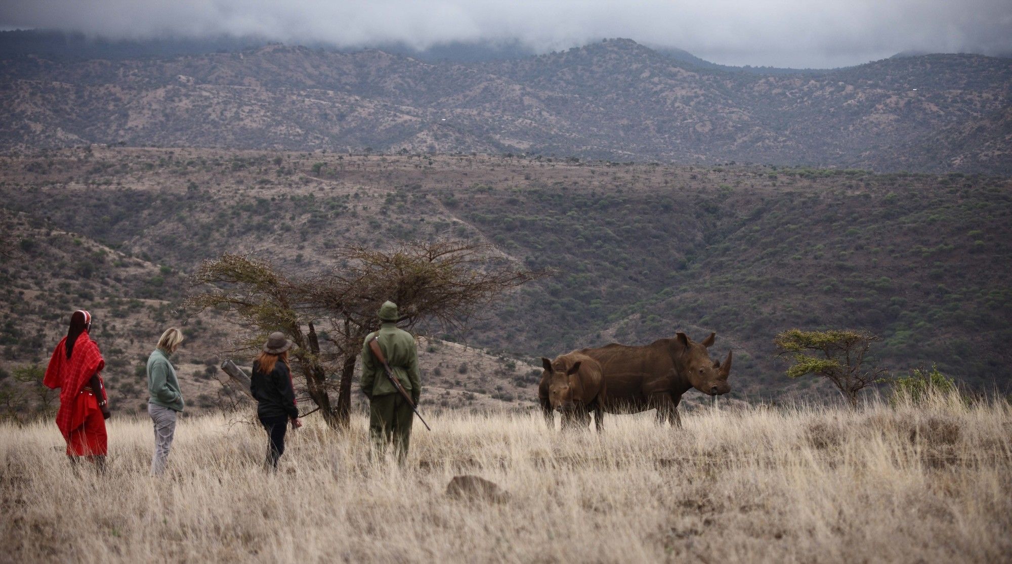 Elewana Lewa Safari Camp Hotel Timau Buitenkant foto