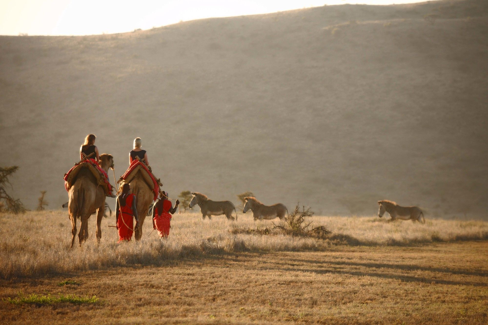 Elewana Lewa Safari Camp Hotel Timau Buitenkant foto